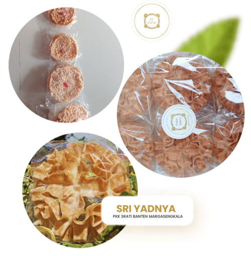 SRI-YADNYA-PROFIL